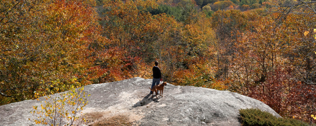 Bradbury Mountain with Dog, Photo Credit: Tim Greenway | Visit Portland