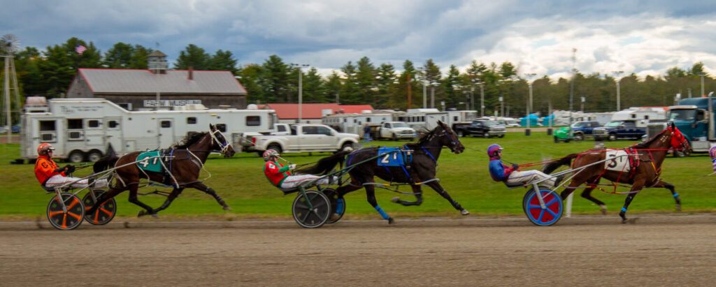 Cumberland Fair, Photo Credits: Serena Folding