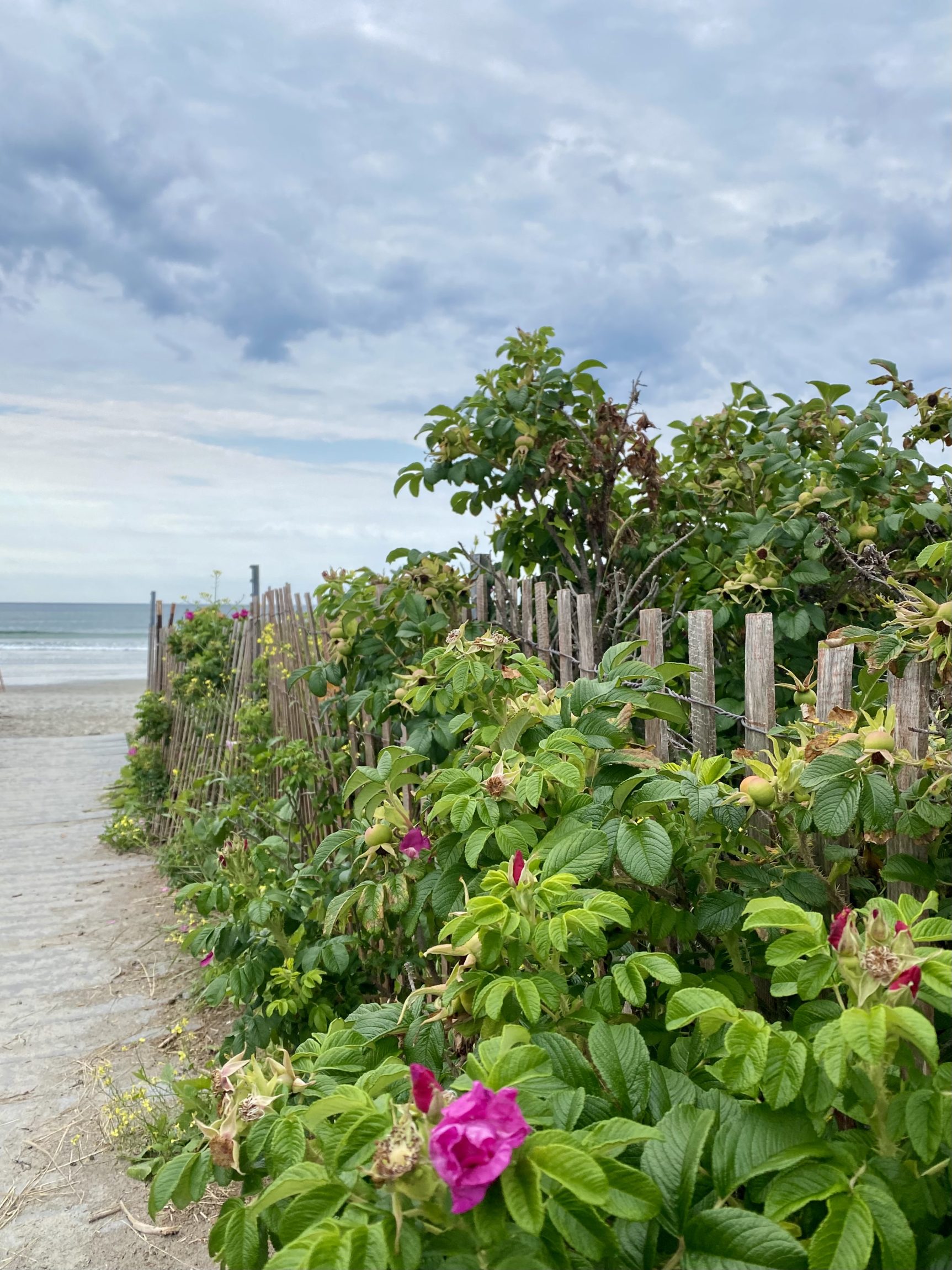 higgins-beach-photo-credits-emma-strong-visit-portland