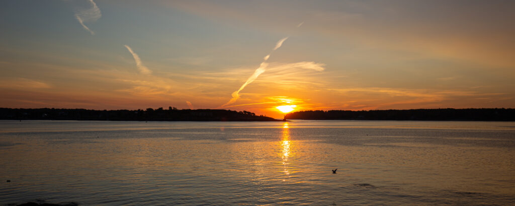 Beach Sunset, header Photo Credits: Serena Folding