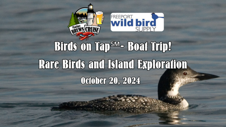 Birds on Tap - The Boat Trip - Photo Credit: Freeport Wild Bird Supply