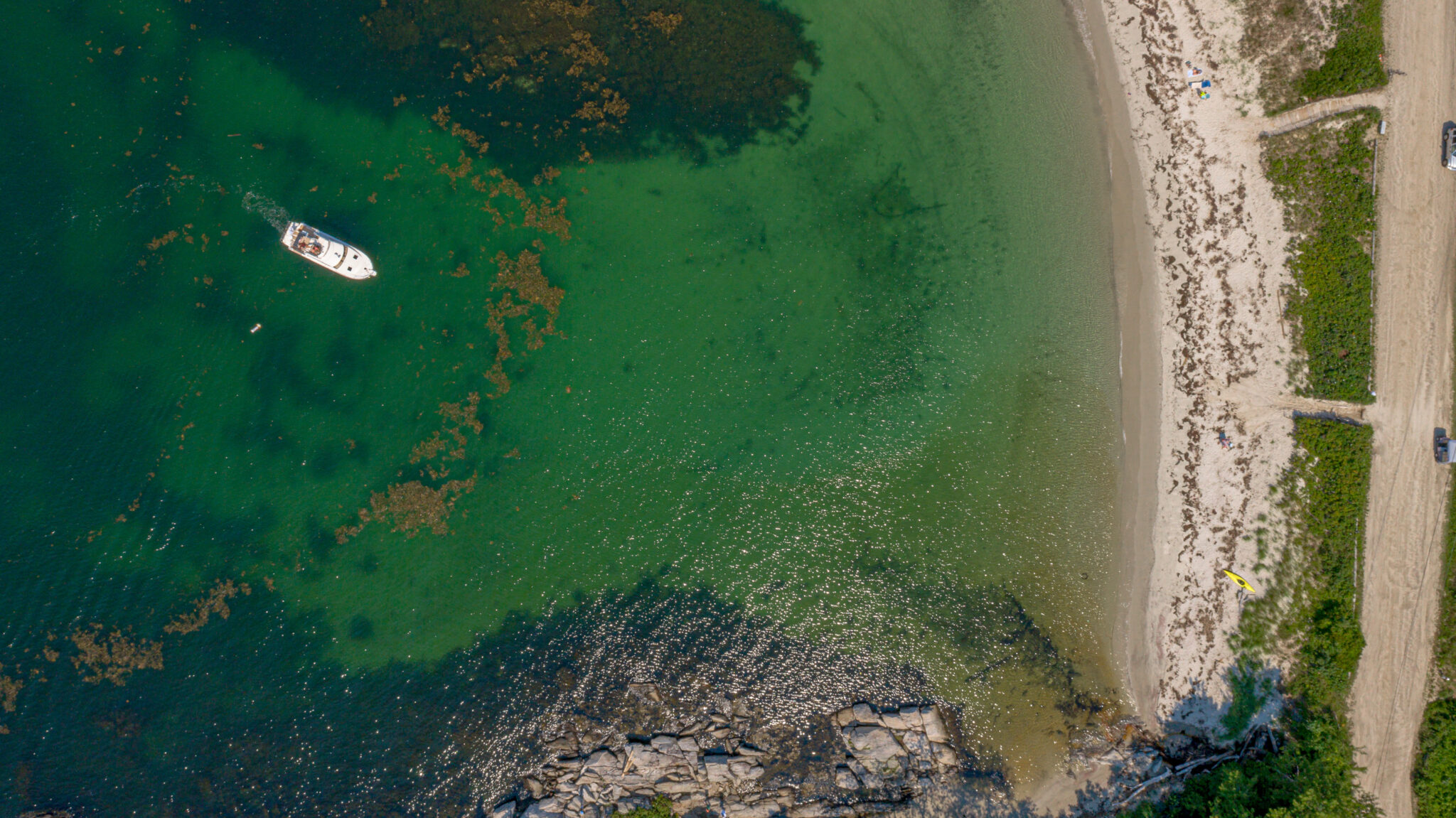 Maine Seaweed Week | Visit Portland