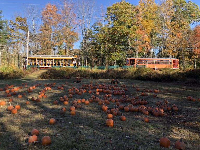 Train in fall by pumpkin patch; Photo courtesy of Seashore Trolley