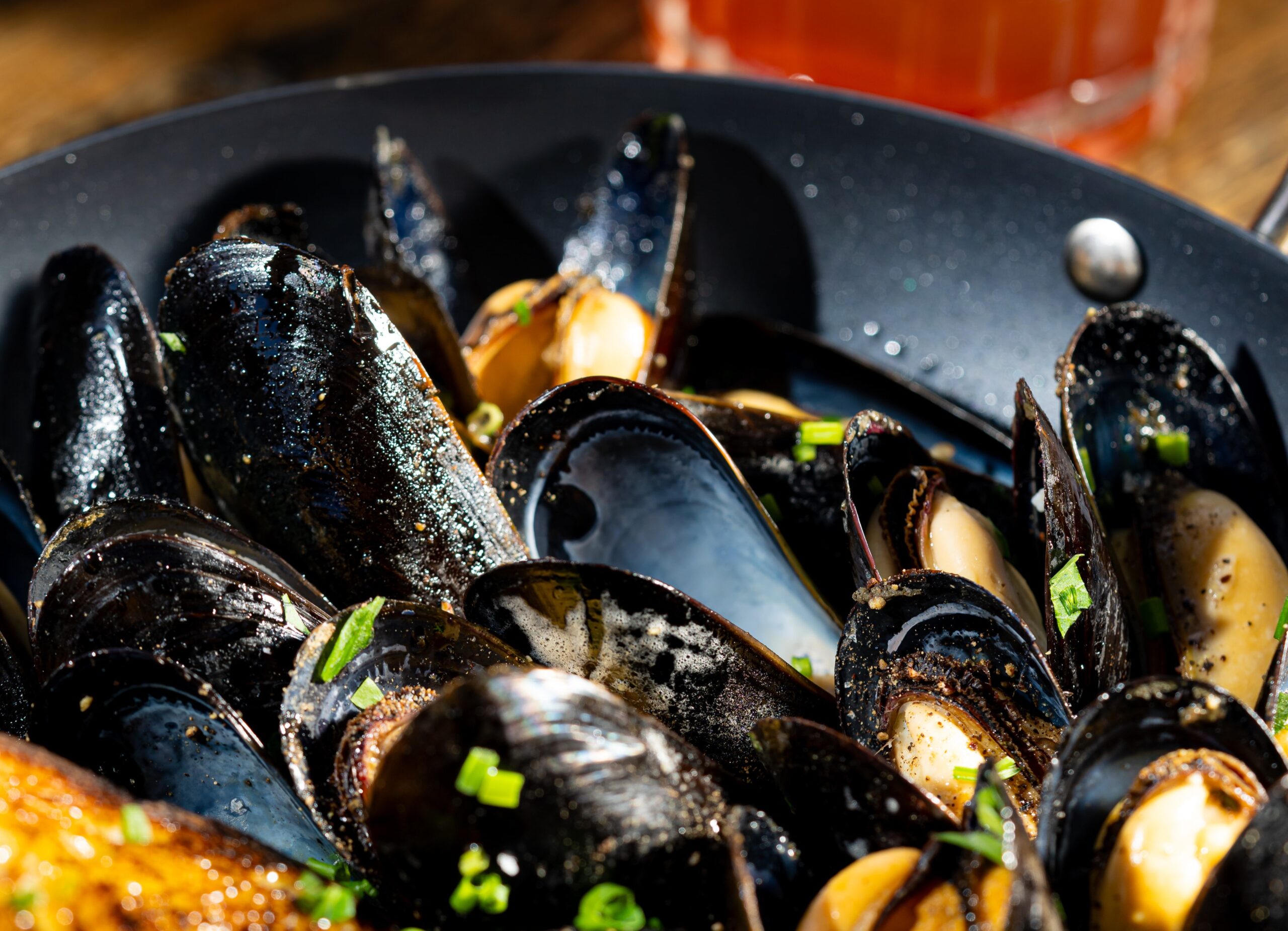 Mussels. Photo Provided by Camp Pennant