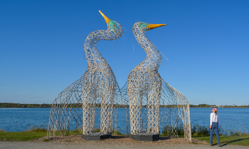 Bird art sculptures along Back Cove; Photo Credit: Lauren Witt at Visit Portland